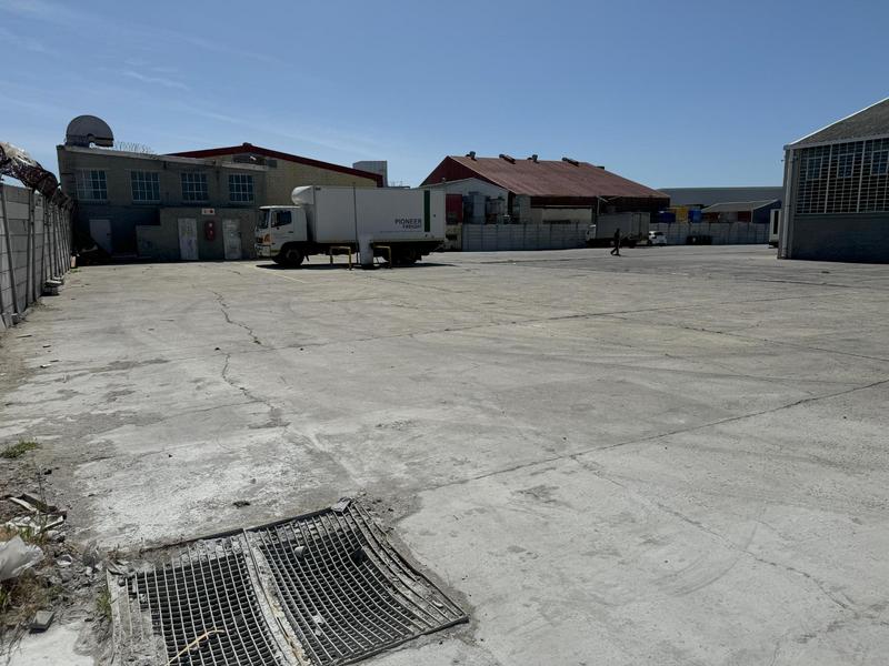 To Let commercial Property for Rent in Airport Industria Western Cape